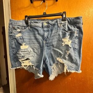 Torrid Size 22 Distressed Shorts